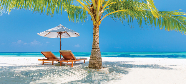 DSG plus loyalty and partnership program